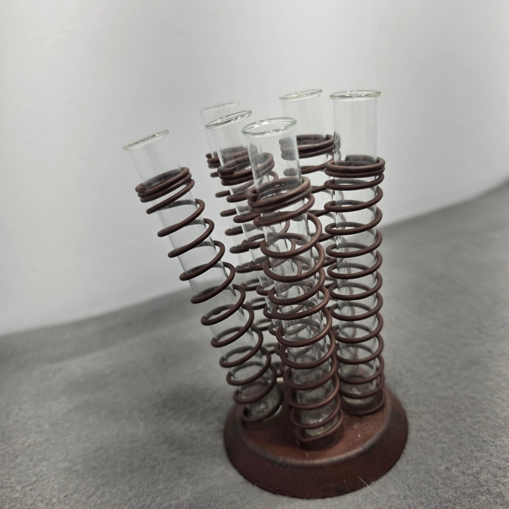 Industrial Test Tube Bud Vase Set 6 Glass Tubes Cast Iron Spring Base Brown